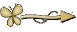 Setinha