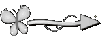 Setinha