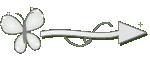 Setinha