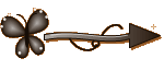 Setinha