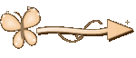 Setinha