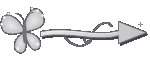 Setinha