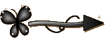 Setinha