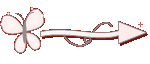 Flechita
