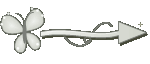 Setinha