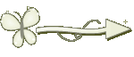 Setinha