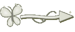 Setinha