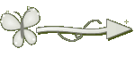 Setinha