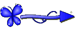 Setinha