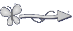 Setinha
