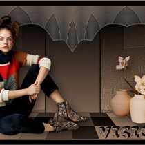 Vision